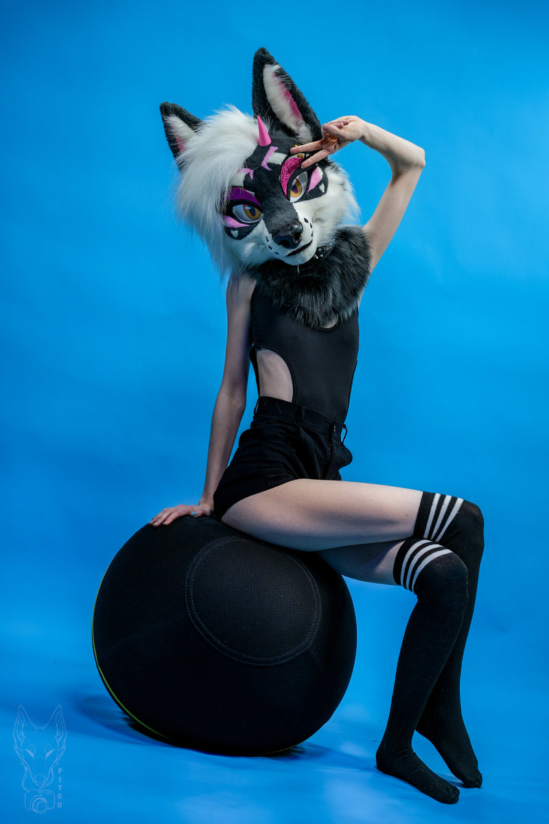 Lucy the hellhound wearing a black outfit on a blue background sat on a ball