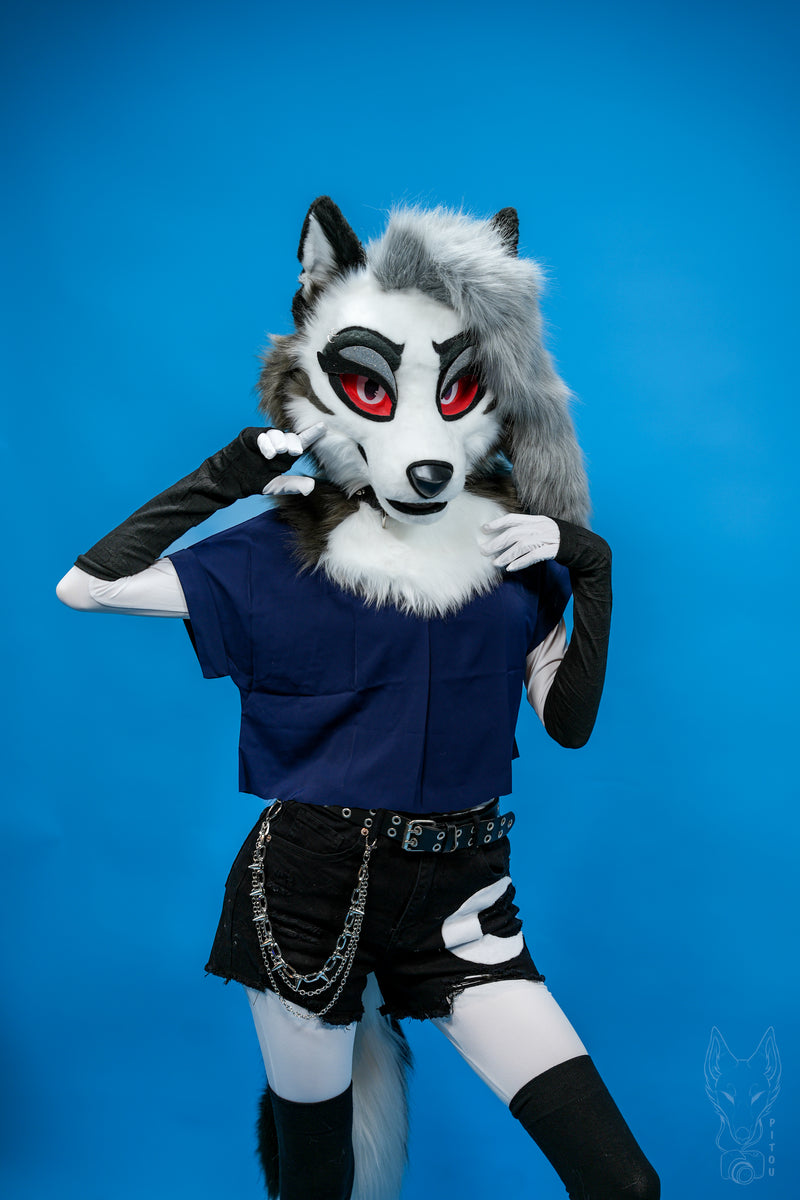 Person wearing a wolf mask and costume against a blue background