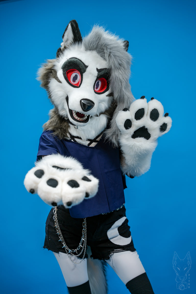Person wearing a wolf costume with a blue background