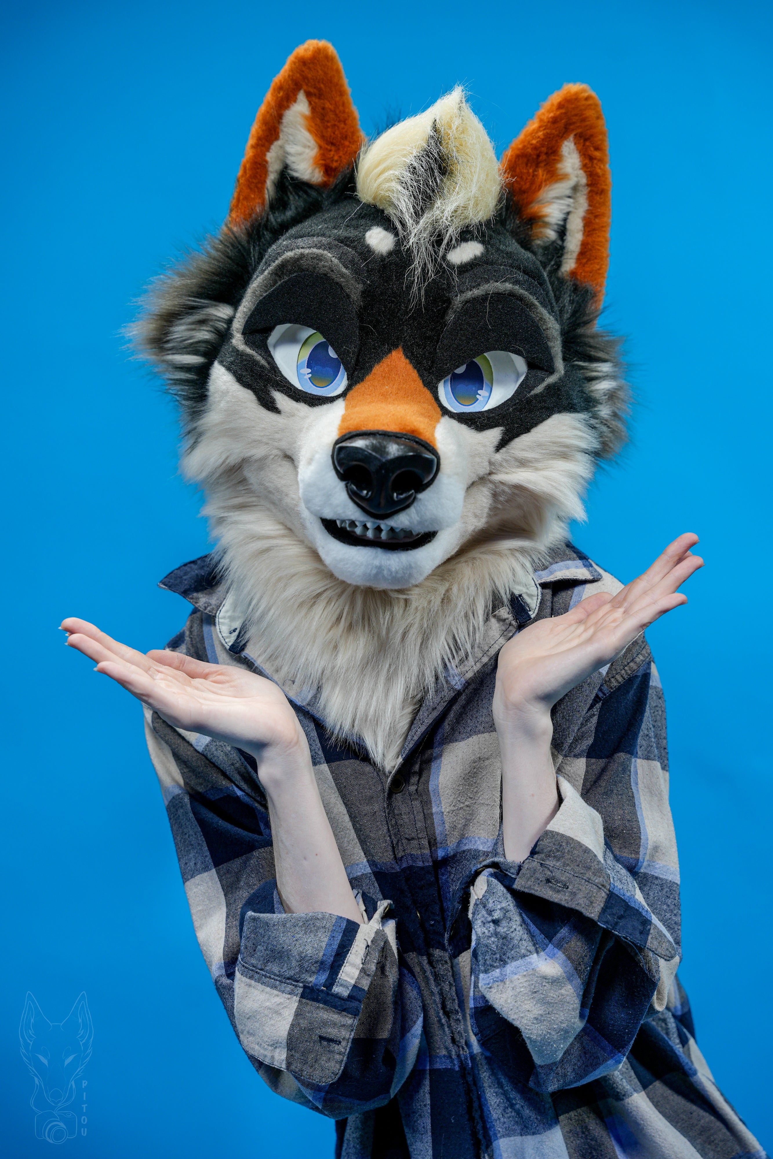 Coyote Fox Fursuit Partial - Dune