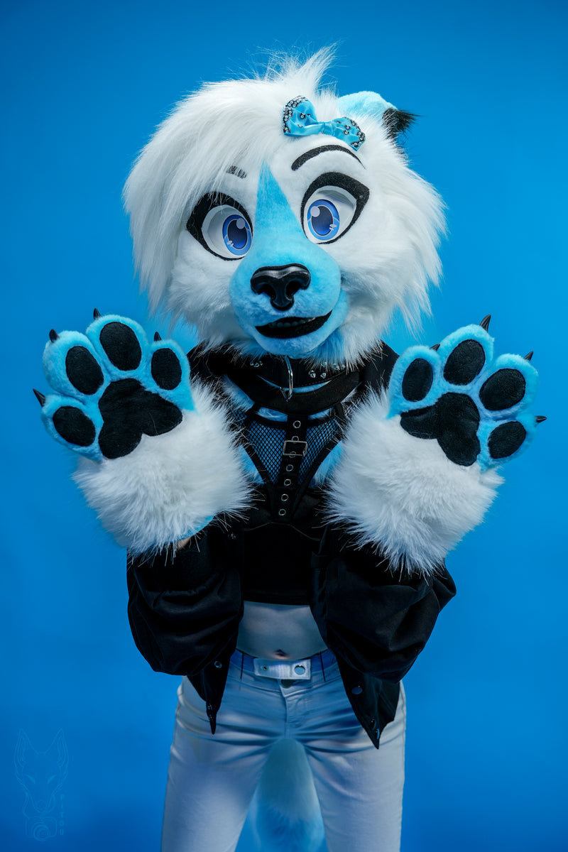 Person wearing a blue and white animal costume against a blue background